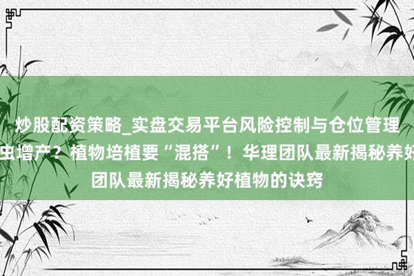 炒股配资策略_实盘交易平台风险控制与仓位管理分析 思要防虫增产？植物培植要“混搭”！华理团队最新揭秘养好植物的诀窍