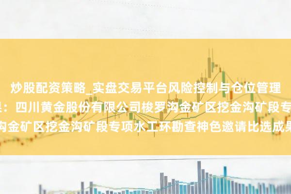 炒股配资策略_实盘交易平台风险控制与仓位管理分析 四川黄金招标成果：四川黄金股份有限公司梭罗沟金矿区挖金沟矿段专项水工环勘查神色邀请比选成果公示